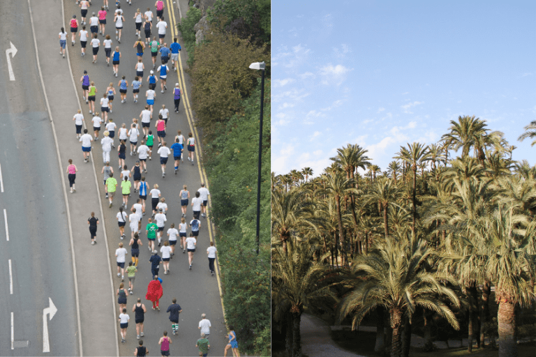 50 Maratón de Elche