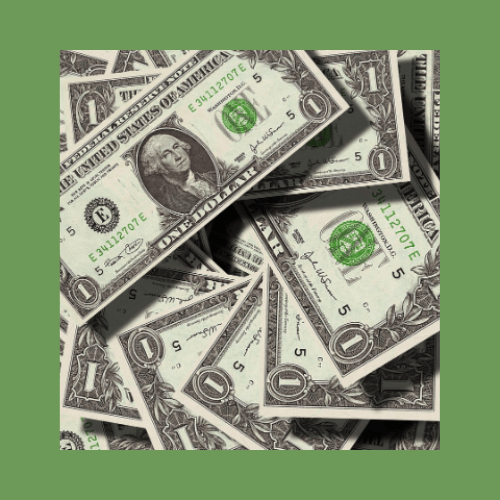 Uso del Dólar en Argentina